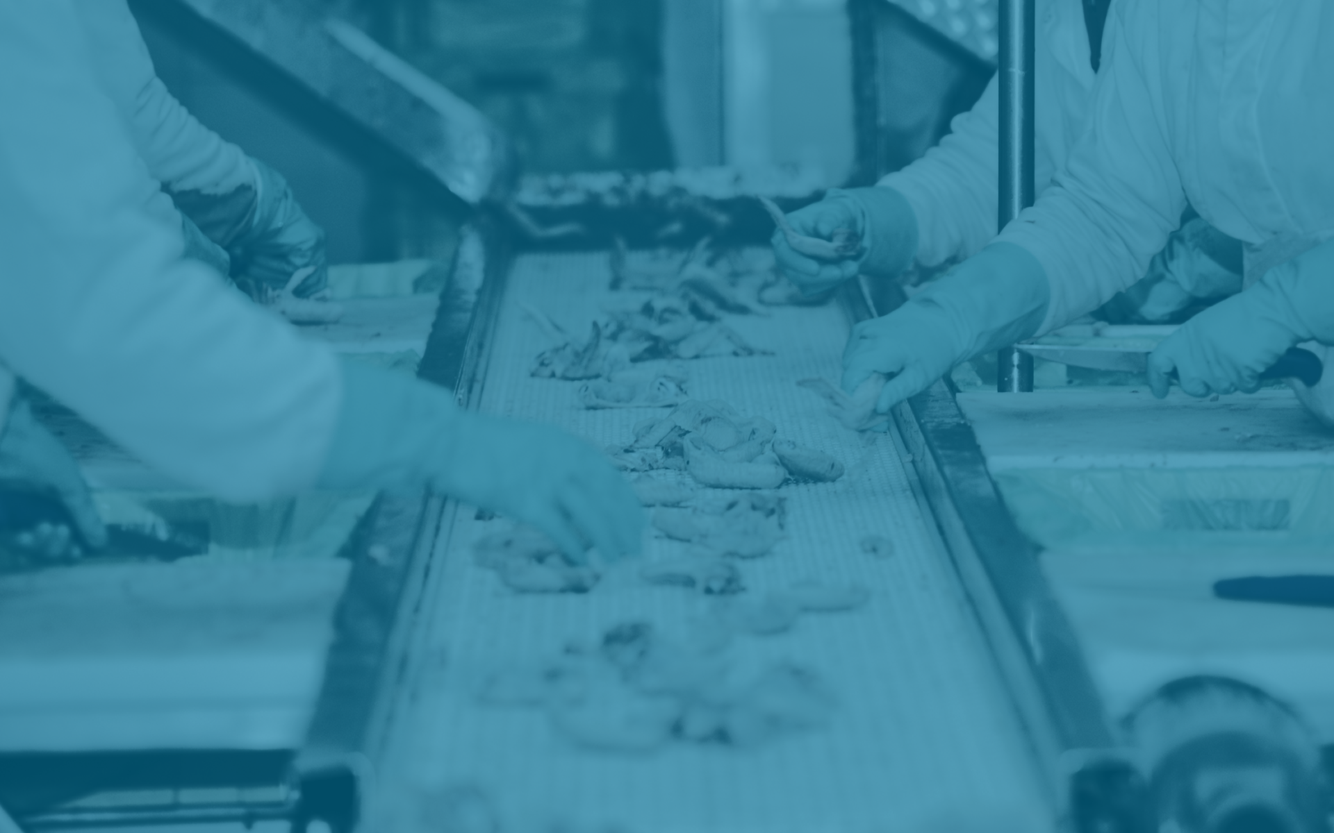 Cypress Valley Meat Company: Arkansas’ First Employee Ownership Trust (EOT)